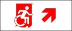 Accessible Exit Sign Project Wheelchair Wheelie Man Symbol Accessible Means of Egress Icon Exit Sign 94