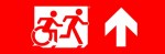 Accessible Exit Sign Project Running Man Wheelchair Wheelie Man Symbol Accessible Means of Egress Icon Exit Sign 114