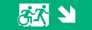 Accessible Exit Sign Project, Egress Group, Accessible Means of Egress Icon